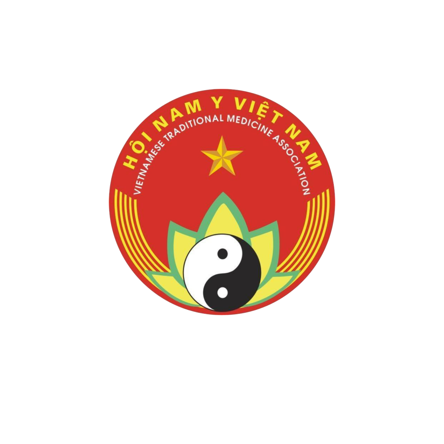 Hội Nam Y Việt Nam