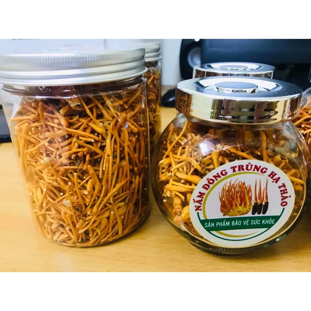 HỢP TÁC NUÔI TRỒNG ĐÔNG TRÙNG HẠ THẢO CÔNG NGHỆ CAO